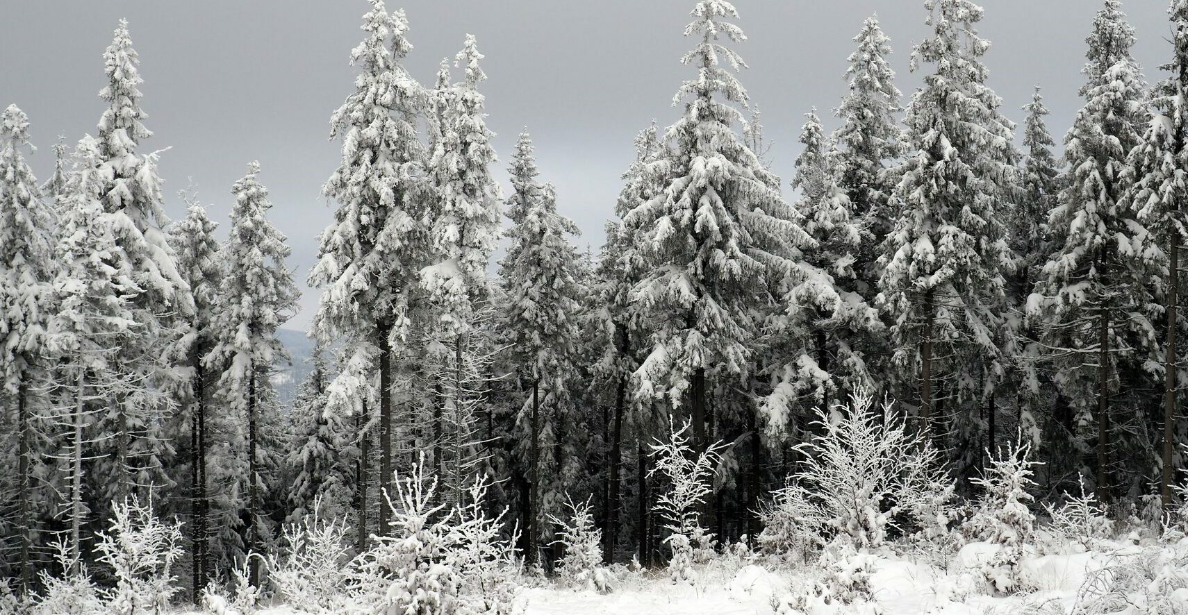 Cztery Strony Kaszub